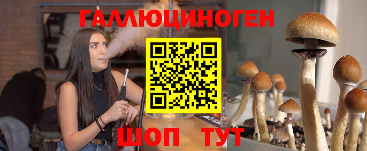 Галлюциногенные грибы Cubensis  Вход с VPN  Касимов 